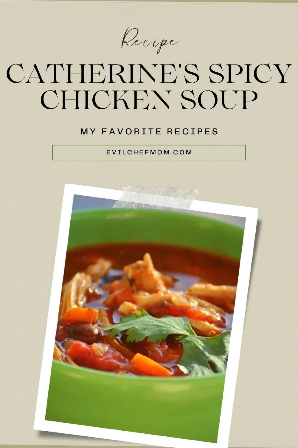 Catherine's Spicy Chicken Soup