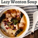 Lazy Wonton Soup