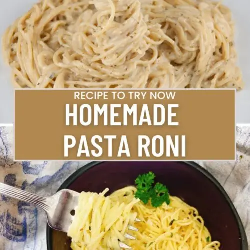 Homemade Pasta Roni