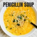 Italian Penicillin Soup