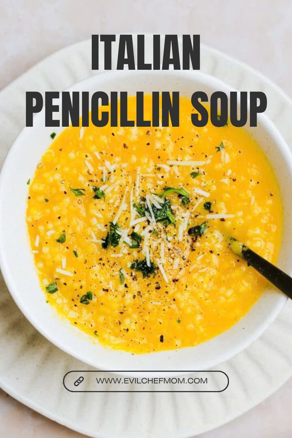 Italian Penicillin Soup
