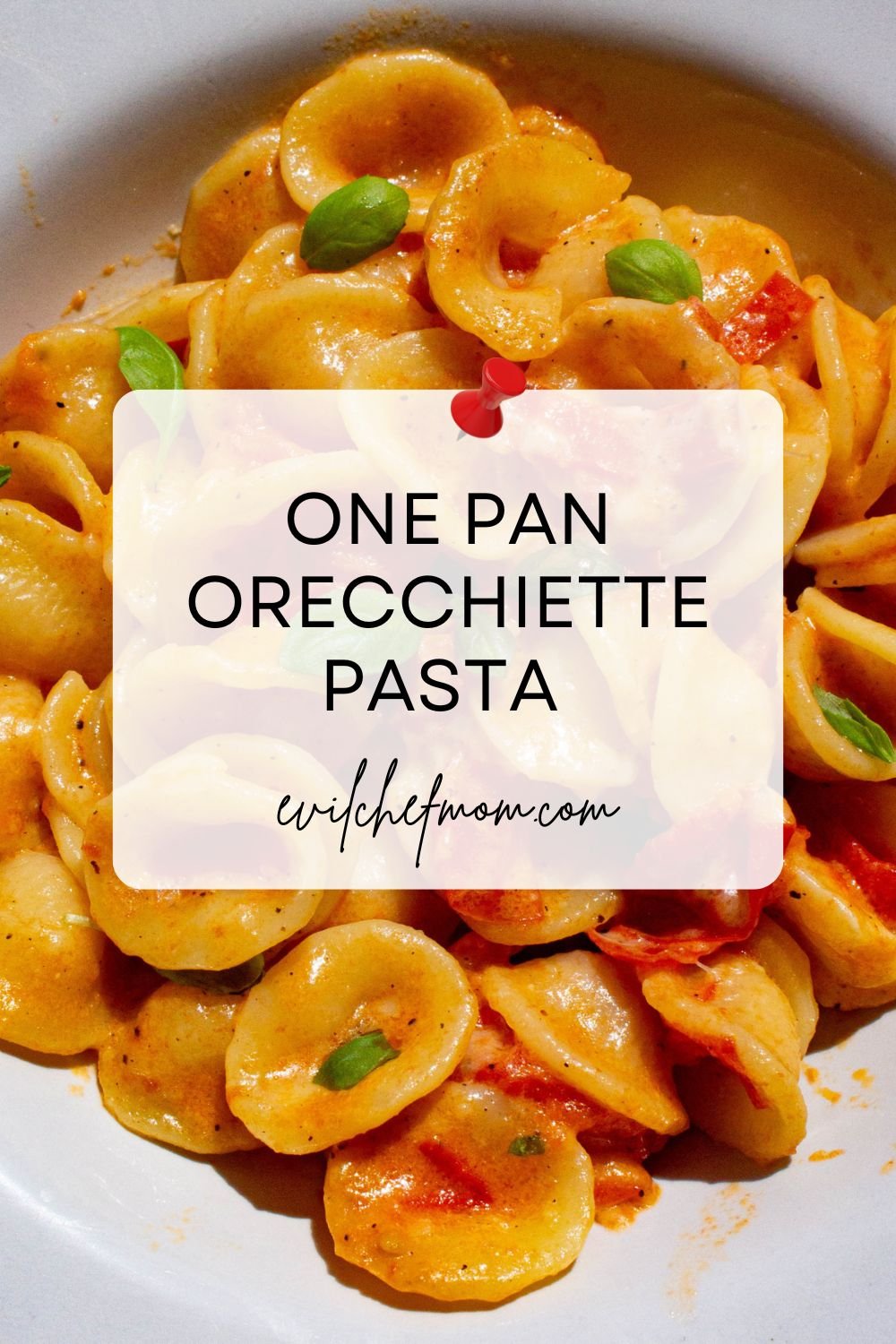 One Pan Orecchiette Pasta