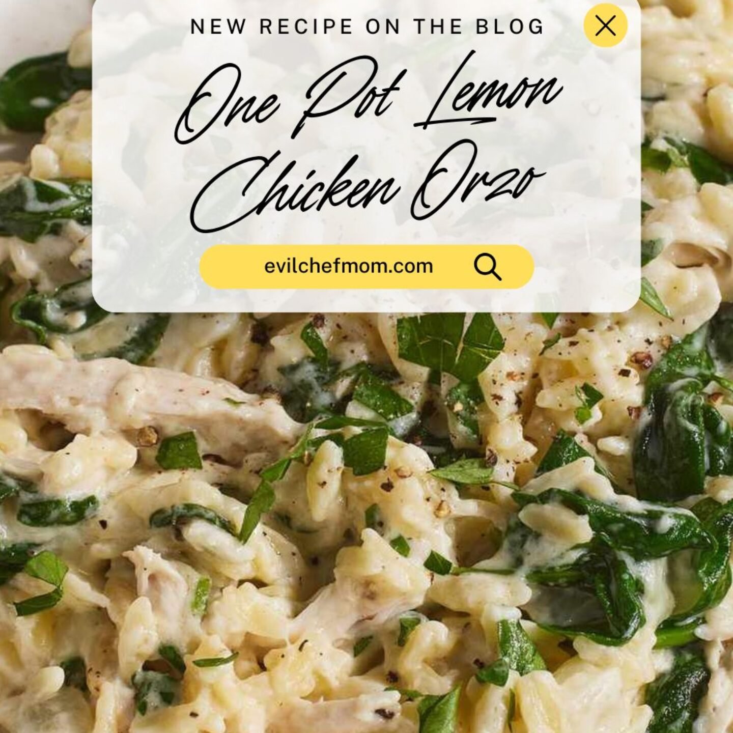 One Pot Lemon Chicken Orzo