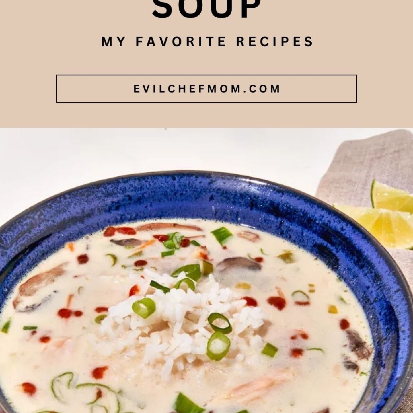Leftover Roast Chicken Coconut Soup
