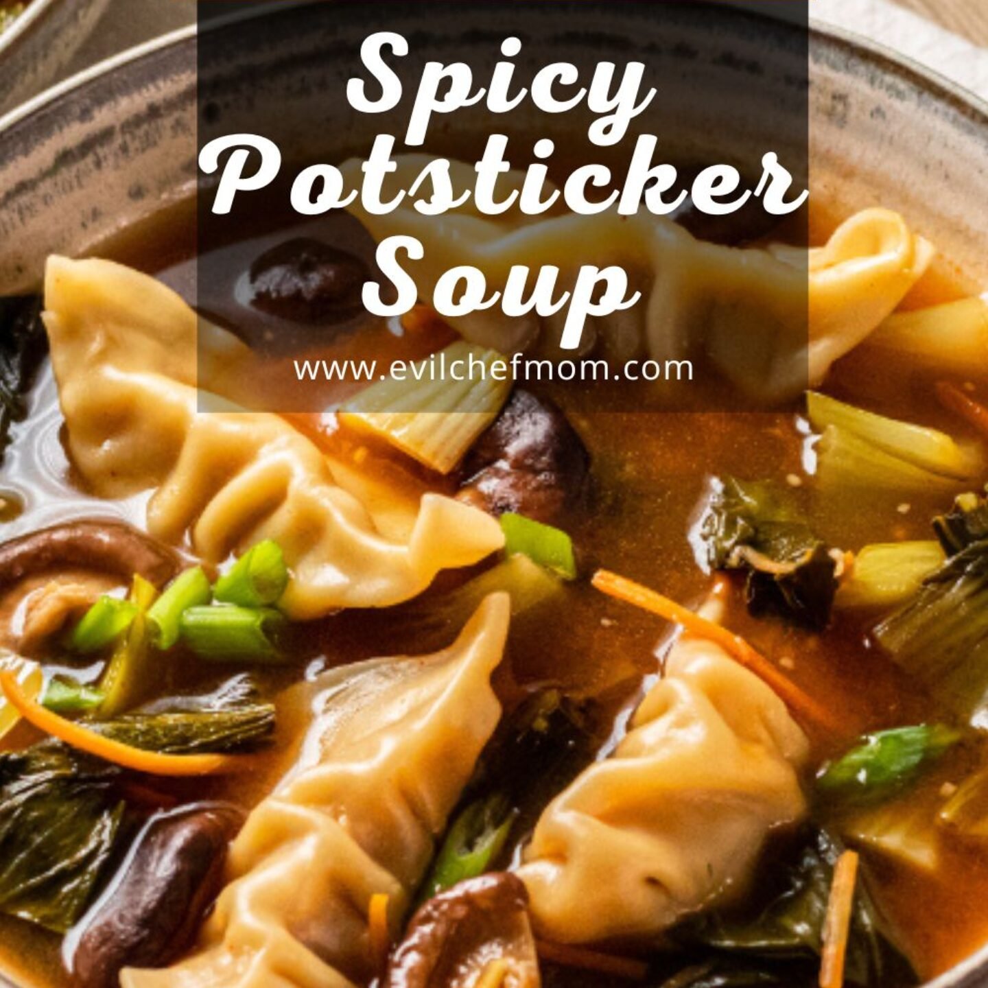 Spicy Potsticker Soup