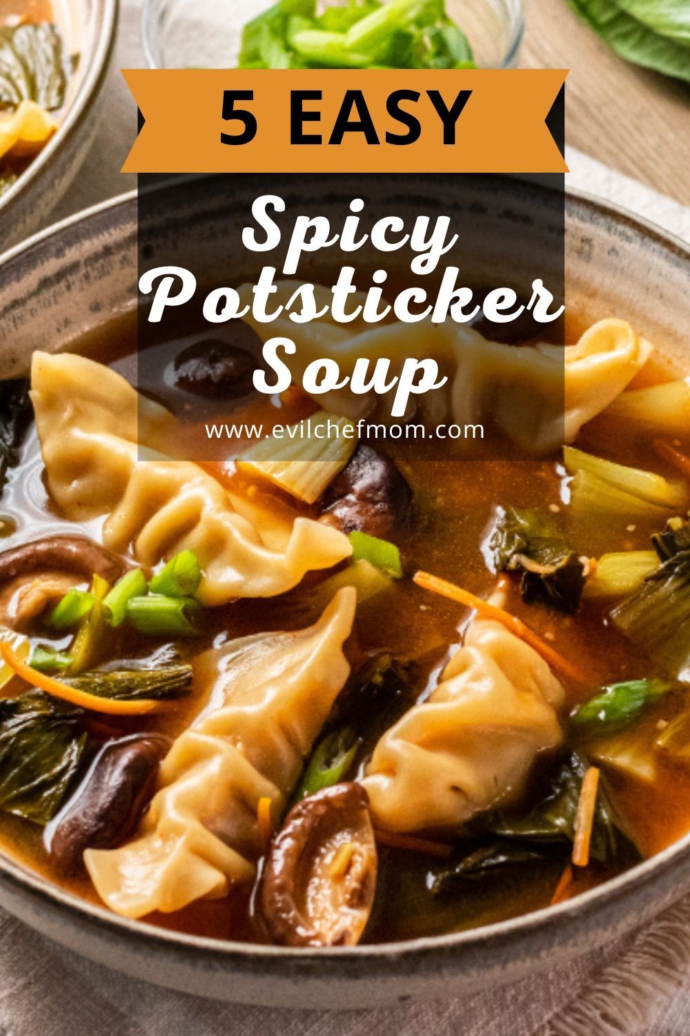 Spicy Potsticker Soup