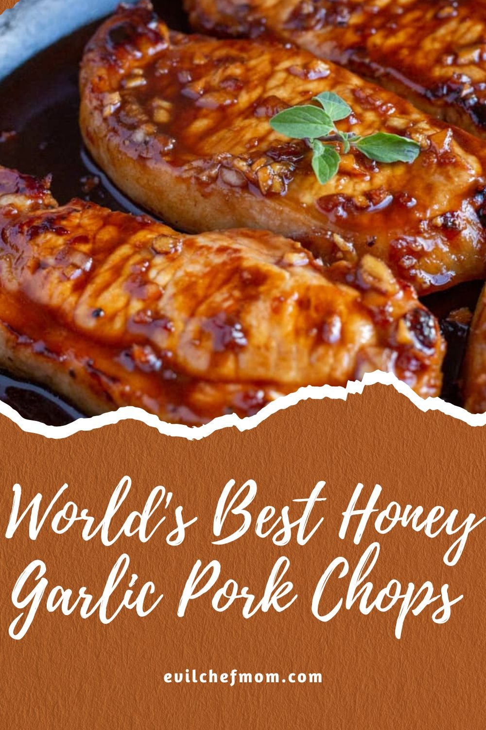 World's Best Honey Garlic Pork Chops