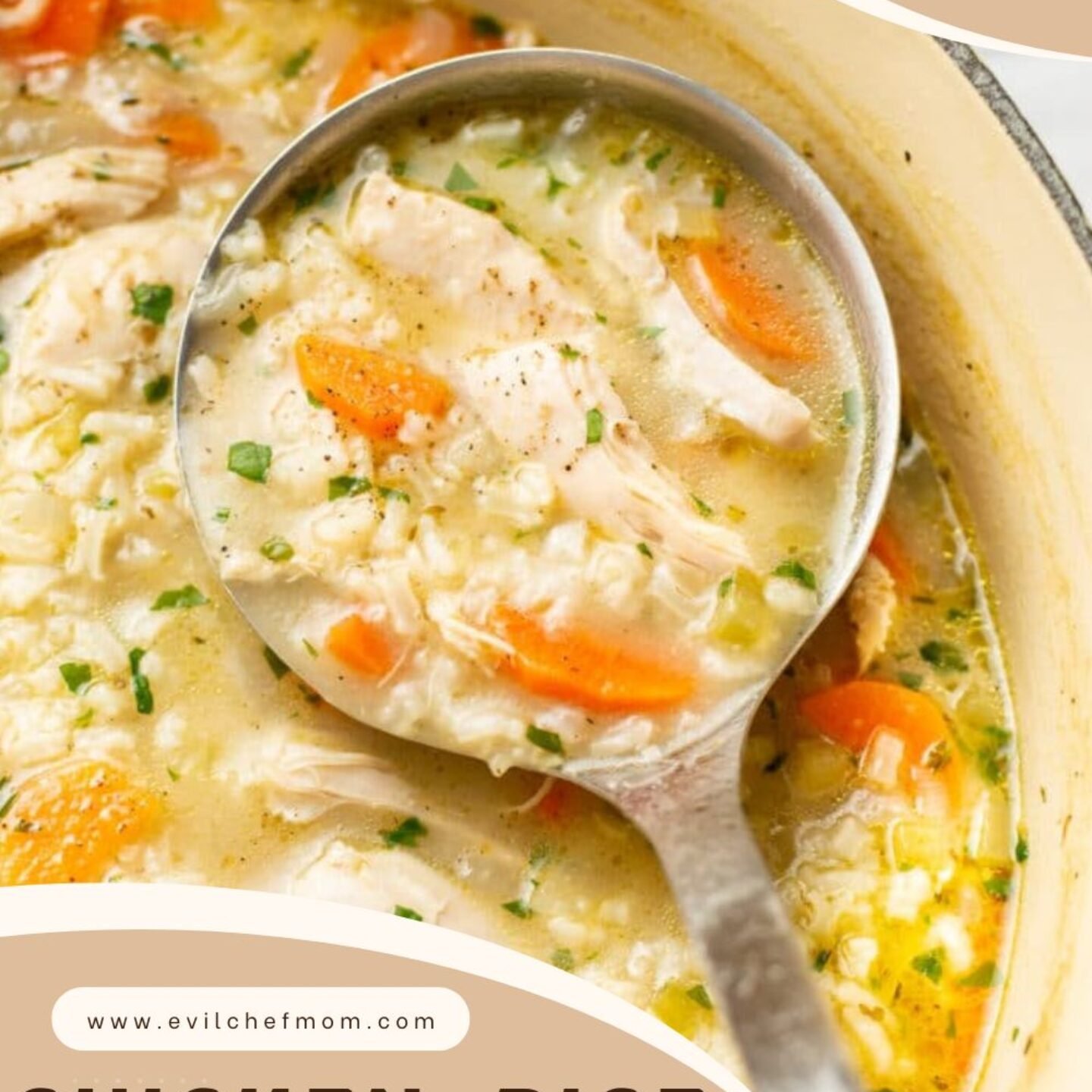 Easy Chicken, Rice, and Noodle soup