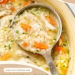 Easy Chicken, Rice, and Noodle soup