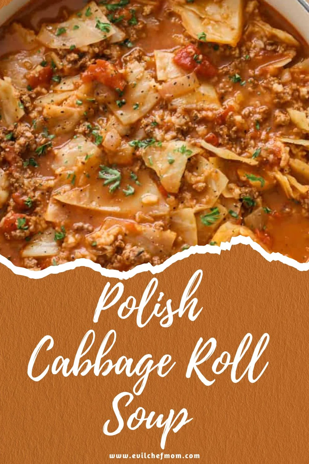 Polish Cabbage Roll Soup